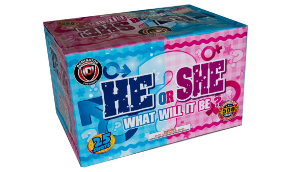 He She What will it be 500g Boy