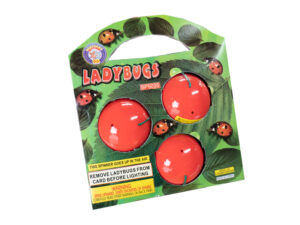Ladybug