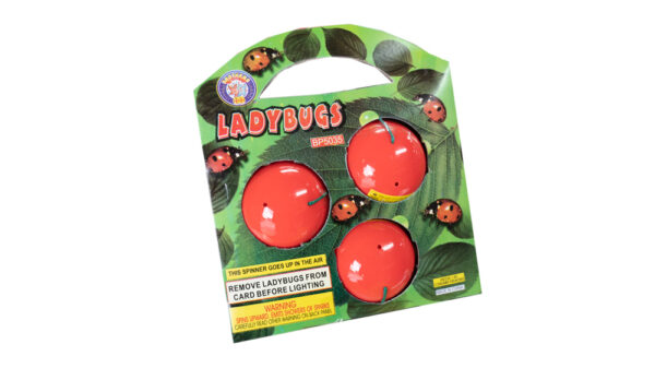 Ladybug