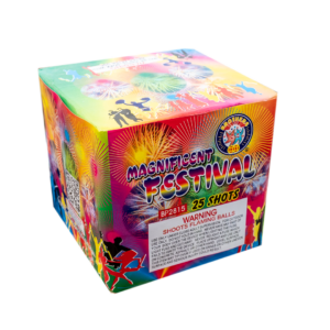 Magnificent Festival