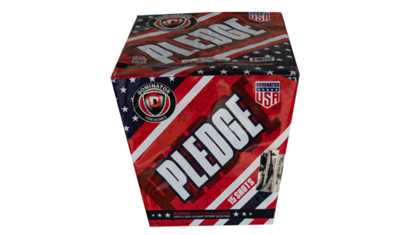 Pledge