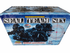 Seal Team Six