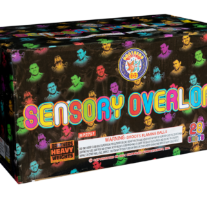 Sensory Overload