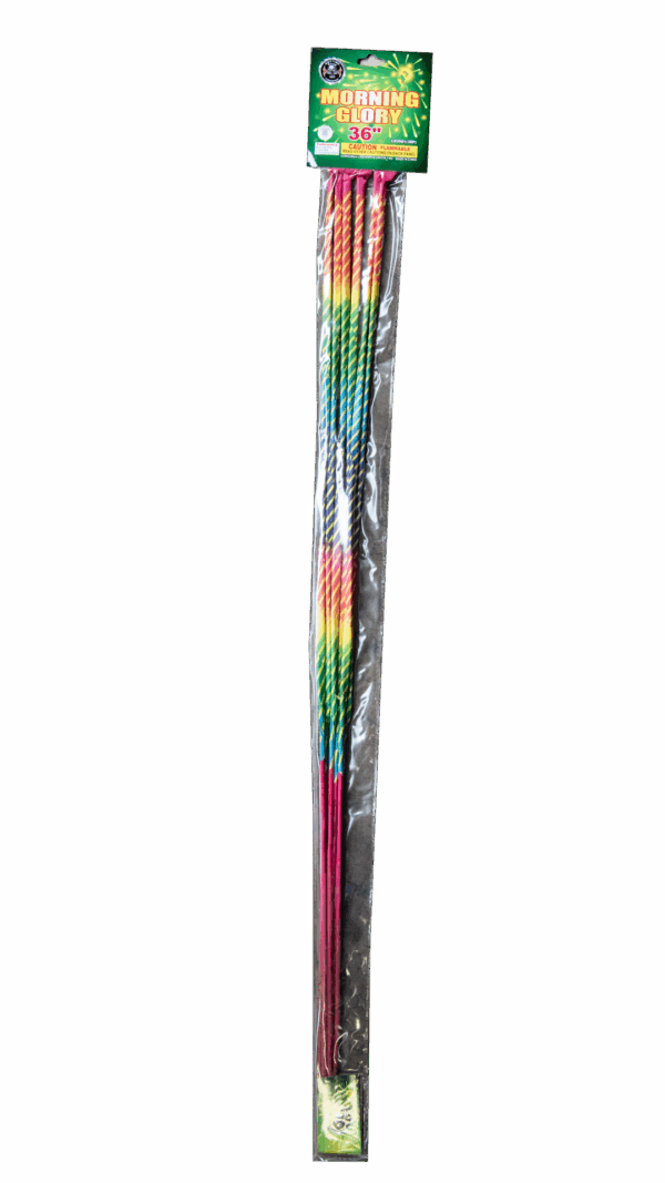 36" Morning Glory
