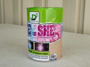 He or She: What Will It Be?