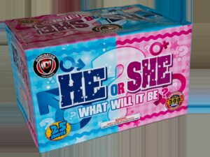 He She What will it be 500g Boy