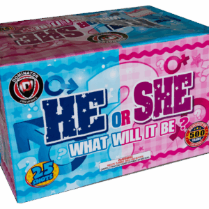 He She What will it be 500g Boy