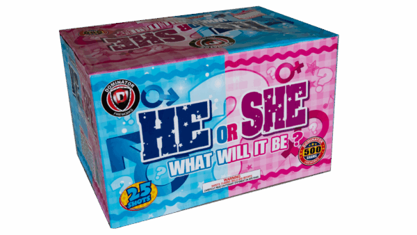 He She What will it be 500g Boy