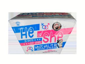 He She Reveal Smoke Boy Girl