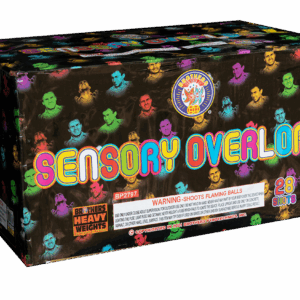 Sensory Overload