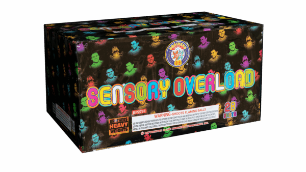 Sensory Overload
