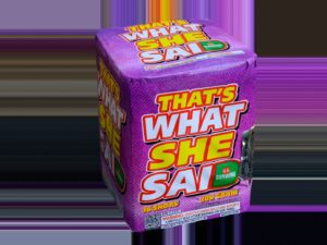 That's What She Said